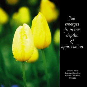 Appreciation and Joy