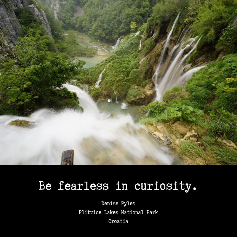 Fearless in Curiosity