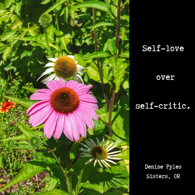 Self-Love over Self-Critic